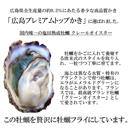 ファームスズキ 塩田熟成牡蠣使用  牡蠣フライ 4個入 塩で食べるカキフライ 広島 名産