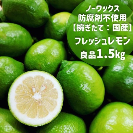 広島県大崎上島産ハウスグリーンレモン　1.5kg(約12玉～15玉)