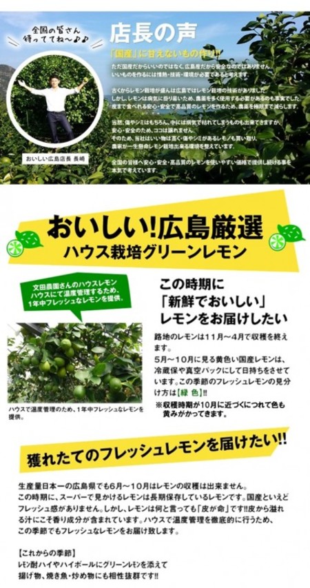 広島県大崎上島産ハウスグリーンレモン　1.5kg(約12玉～15玉)